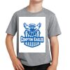 Youth Fan Favorite Tee Thumbnail