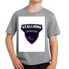 Youth Fan Favorite Tee Thumbnail