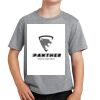 Youth Fan Favorite Tee Thumbnail