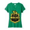 Women's Fan Favorite Blend V Neck Tee Thumbnail