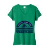 Women's Fan Favorite Blend V Neck Tee Thumbnail